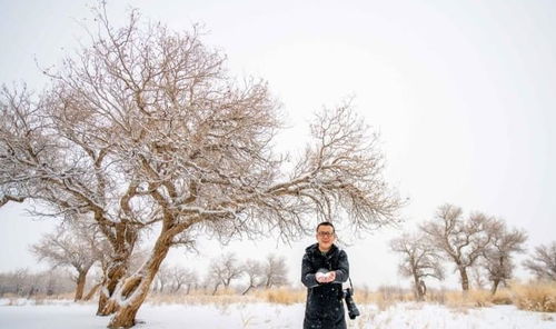 你见过冬天的胡杨林吗 实拍新疆的万亩胡杨林,雪天美成人间仙境