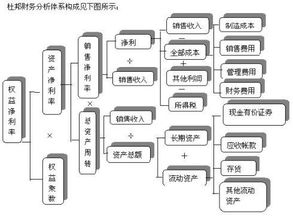 什么是股东权益收益率? 急!