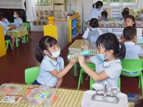 学前教育能当小学老师吗