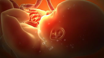 原创为什么宝宝晚上的时候“胎动”比较多？或许和这3个因素有关