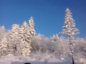 关于雪海的诗句