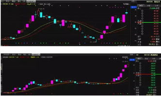 为什么私募基因3点以后推荐的股票第二天都会涨停