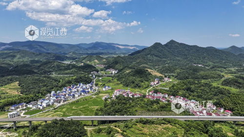 江西九江瑞昌青山林场