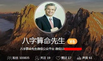 精准吸粉 无脑执行 快速赚钱 