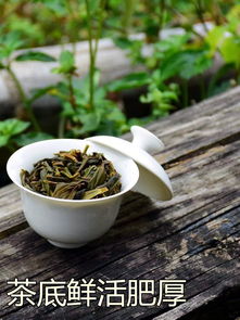 潮汕单丛茶和铁观音,青少年喝铁观音茶和潮州凤凰单丛茶有什么好处和坏处?