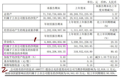 扣除非经常损益净利润哪个是净利润