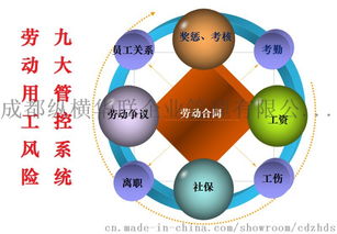 知识产权如何进行风险管理