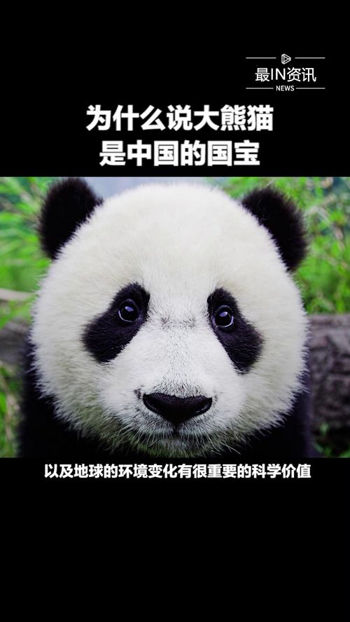 为什么熊猫是中国的国宝？