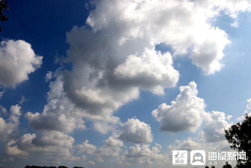 i东营 影像 你知道今天东营的云朵有几种姿态吗 