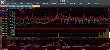 请问有什么免费炒股软件可以添加分时指标？