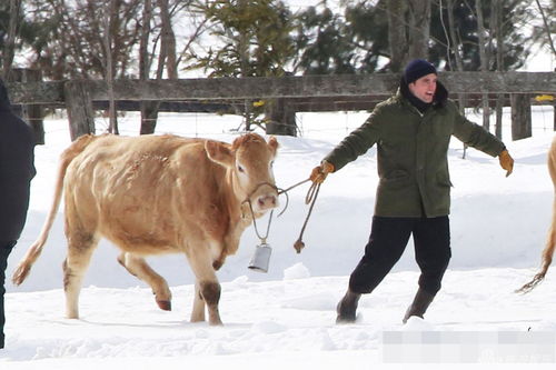 组图 帕丁森雪地拍新戏 穿棉袄变身 放牛娃 