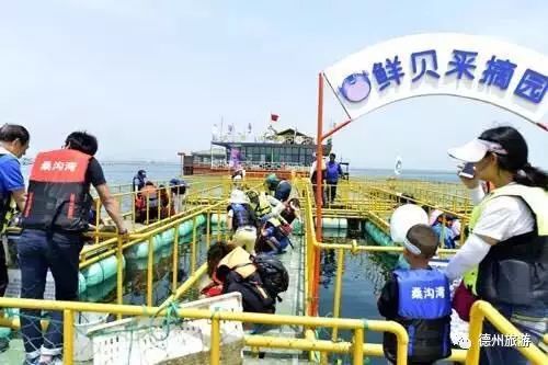 国庆游丨海阳万米沙滩自由行 威海那香海赶海 桑沟湾海洋牧场 威海华夏城三日游690元,10月1日发团