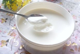 固体酸奶(固体奶和酸奶有什么区别)