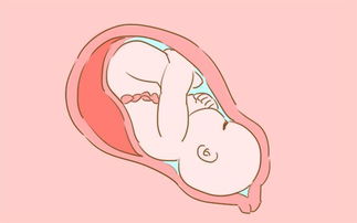 原创孕7月，是孕妇和孩子的一道坎，做好这3件事，或许对胎宝健康有益