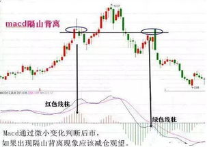 从千万级爆仓到财务自由 炒股若不会看MACD,凭什么在中国股市生存