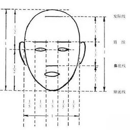 画素描时，比例应如何掌握？我画的画总是比例有问题