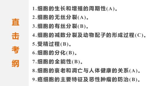 2015届高考生物 江苏专用,理科 知识专题强化练 专题4 细胞的生命历程 共122张PPT 