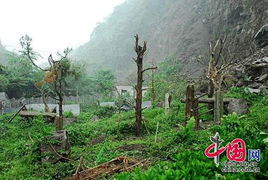 暴雨泥石流使北川灾区14人失踪 唐家山堰塞湖水位已上升5米P346