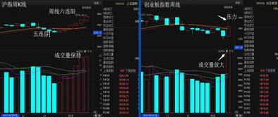 资金抢筹会使得蓝筹股出现明显的溢价是什么意思？