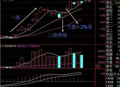 一个户可以买多少<；种>；股票，和一个户可以买多少<；个>；股票.