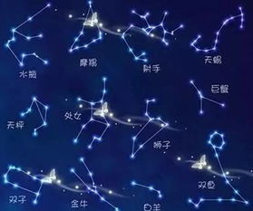 12星座的钱都花到哪里去了,你知道吗 