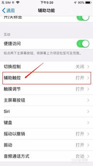 iPhone手机怎么设置AssistiveTouch小圆点