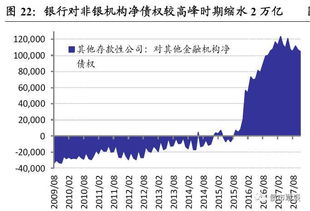 毕业论文,金融监管,数据