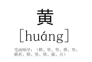 黄这个字一共几画 