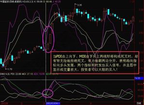 怎样看已买股票的名字及当时买入的价钱