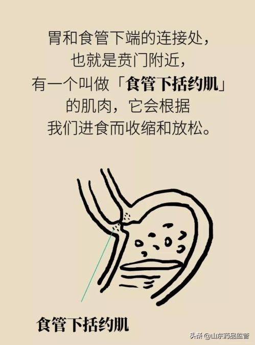 什么方法可以缓解烧心(怎么能缓解烧心)