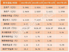 顶格申购 需配市值 是什么意思