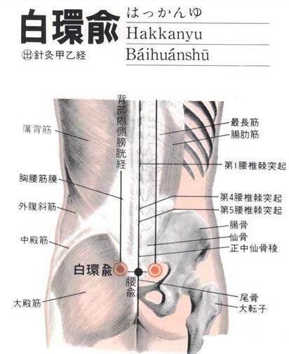 白环俞穴的准确位置图 搜狗图片搜索