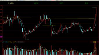 谁帮我分析一下（中电电机）这支股票？