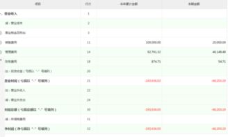 新成立的公司实收资本没有到位，怎样编制资产负债表？