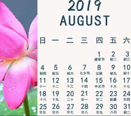 2019年7月11号生肖运势冲兔,龙大吉 指数 