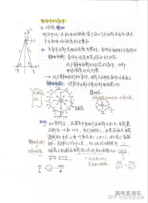 最后拼命复习6个月,明年能考上本科吗