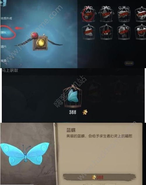 第五人格宠物怎么带 宠物选择及作用介绍