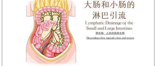 岭南妇科养生坊 痛经 盆腔炎,中药灌肠也能治好