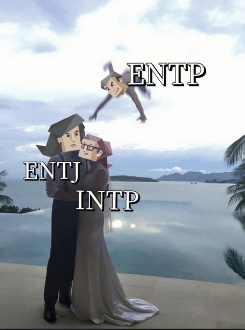 心理学分享 ENTP 