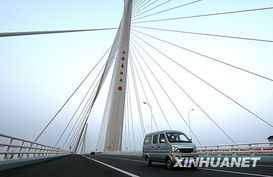 上海长江大桥(上海长江大桥的历程)