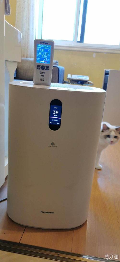 养猫家庭要干净无异味 一台空气净化器不够