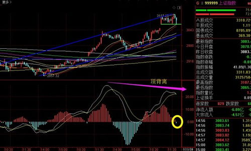 股市中MACD60分钟线出现顶背离并形成死叉怎么办