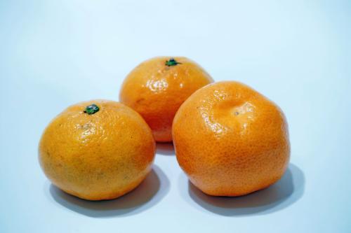 桔子 桔子与橘子的区别
