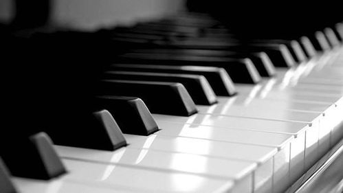 钢琴拼音是什么 