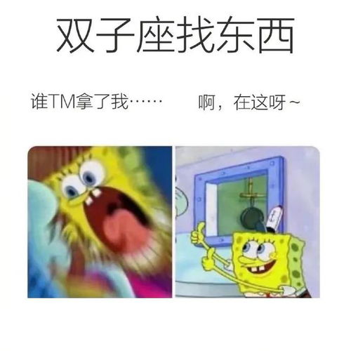 星梗 星座meme合集12.3 12.10