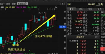 2021年6月19日有几只股跌停板