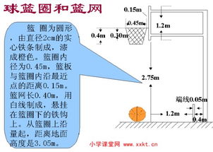 篮球场上的线跟圈都是什么意思 代表什么 求大哥们解释... 