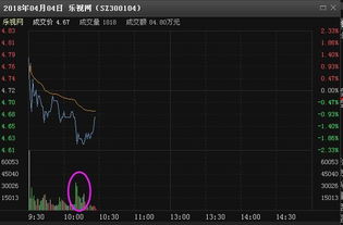 本人看好300104 乐视网，高手有什么意见？觉得这支股票怎么样？