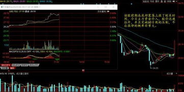 投入10000元（一万）买什么价位的股票在涨停10%的收益最大？