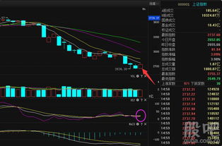 怎么看分钟线，30 60，还有周线呢，还有技术指标的分钟线KDJ RSI等